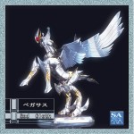 Pegasus cloth